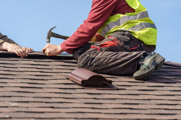 Best Metal Roofing Contractor  in Carol Stream, IL