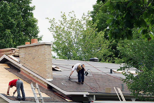 Best Roofing Contractor Near Me  in Carol Stream, IL