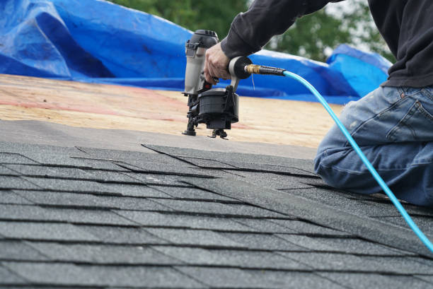 Best Flat Roof Repair Services  in Carol Stream, IL